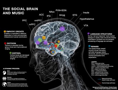 what is absolute music and how does it influence the evolution of musical theory?